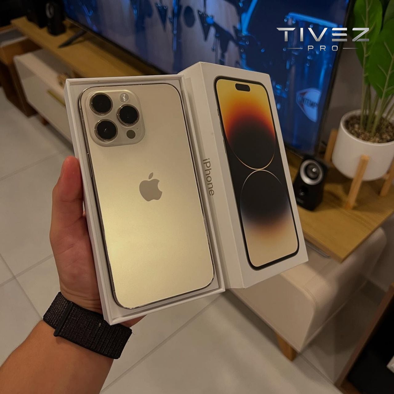 14 پرومکس