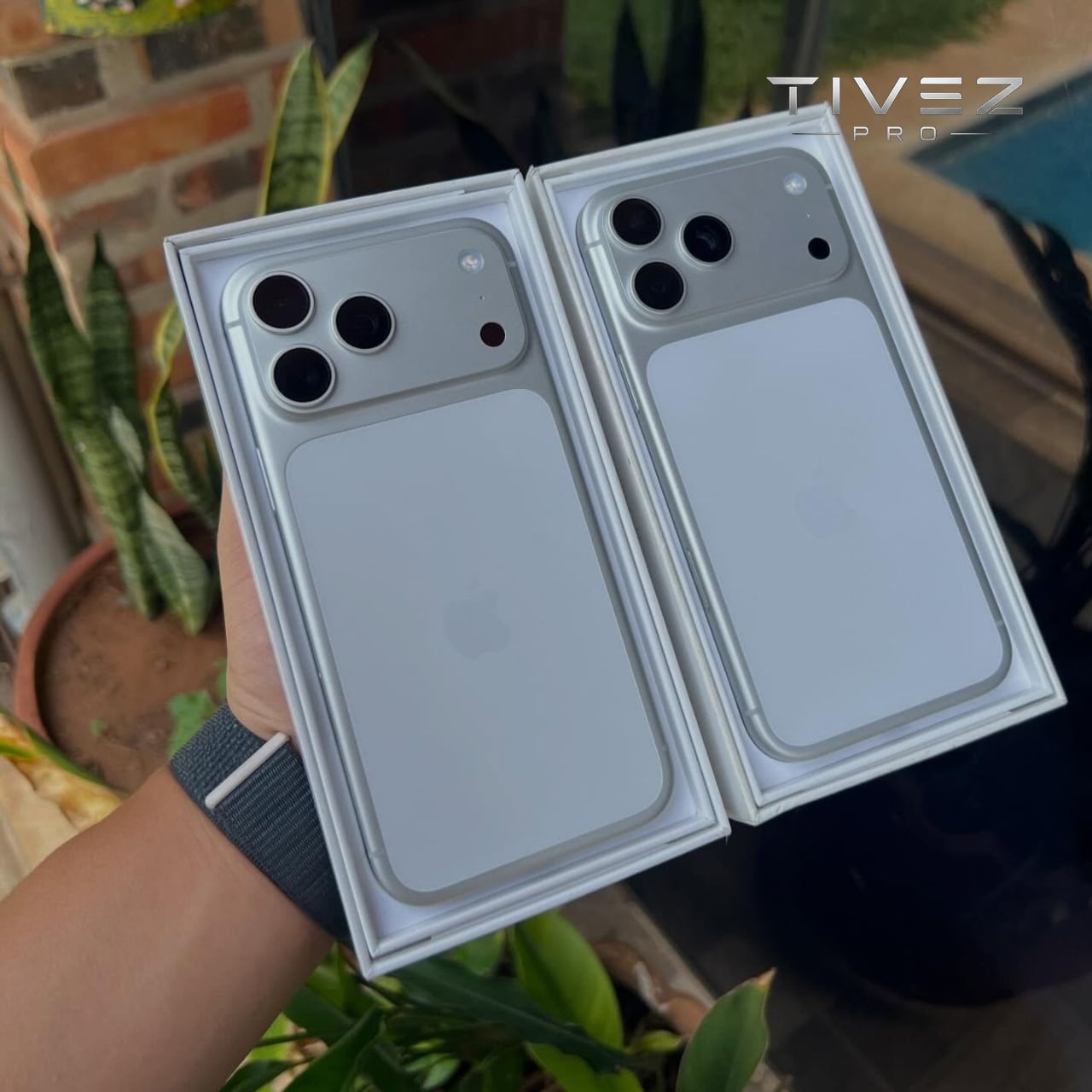 17 پرومکس